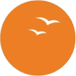 Suryoday Small Finance Bank icon